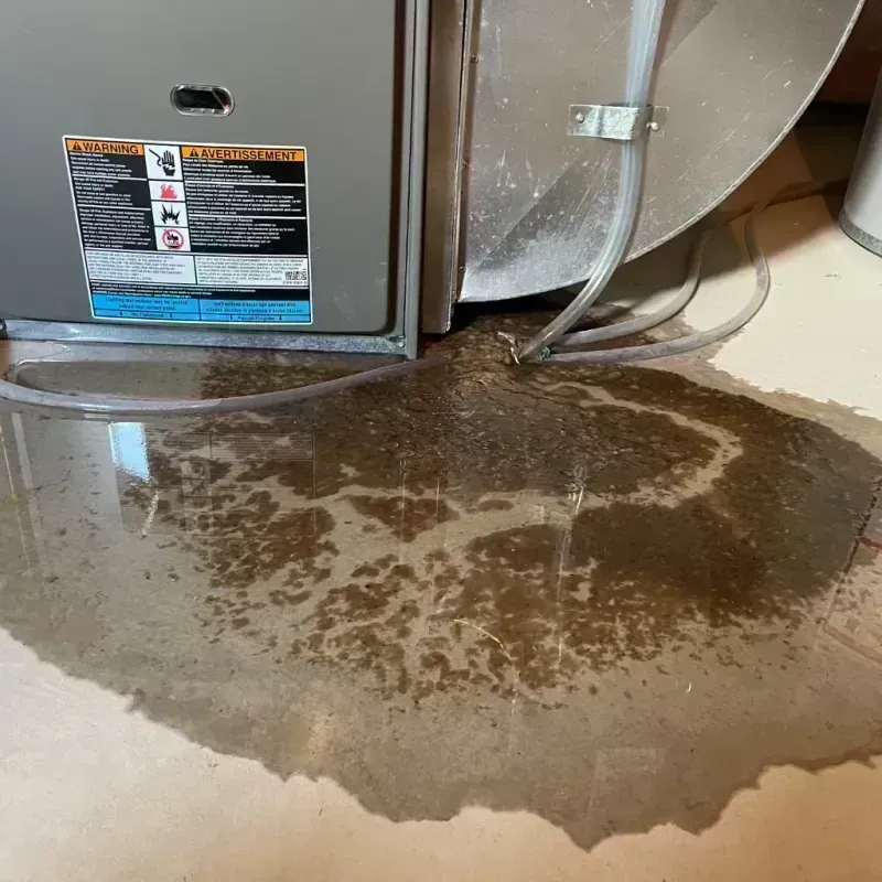 Appliance Leak Cleanup in Maplewood, MO